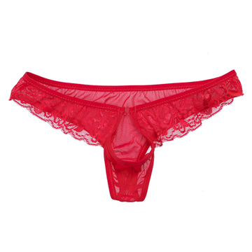 Sexy Men's Lace Transparent Underwear / See-Through Mesh Front Hole Lingerie Underpanties - EVE's SECRETS